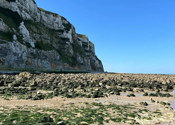 Appartement Maisonsurleau Normandie - Bord De Riviere, Mer, Foret