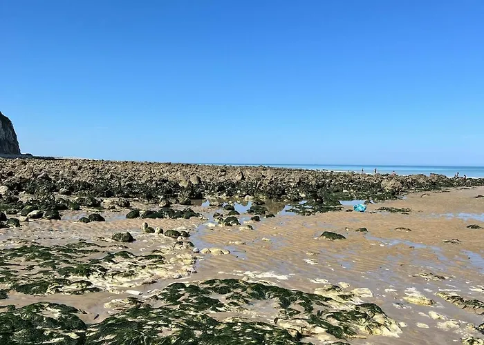 Maisonsurleau Normandie - Bord De Riviere, Mer, Foret *