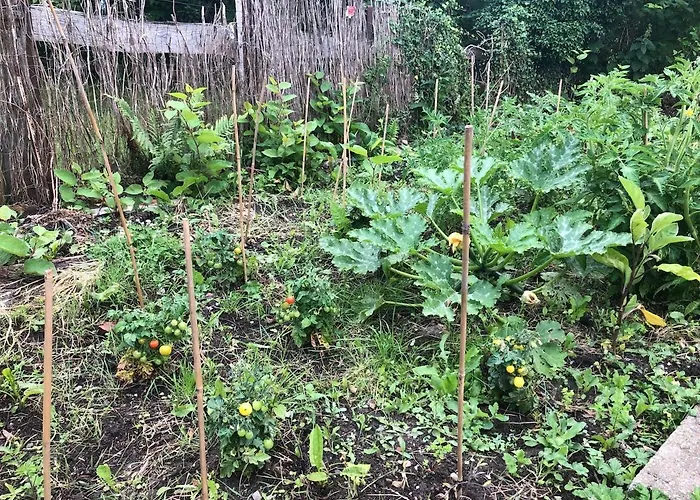 Maisonsurleau Normandie - Bord De Riviere, Mer, Foret Appartement *